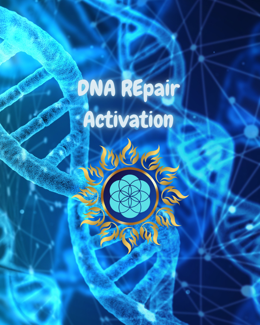 Free Resources to Support and Inspire You!